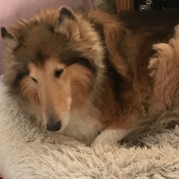 THANK YOU FOR SHOPPING ON POSHMARK! - Picture 5 of 13